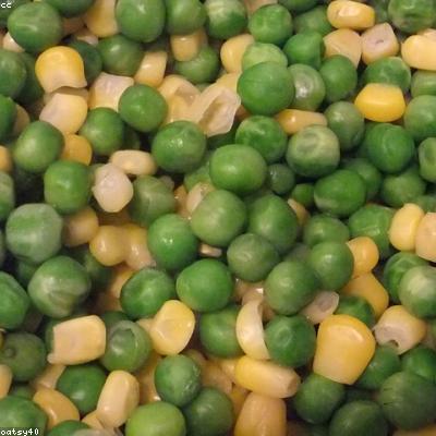 Jagung Manis